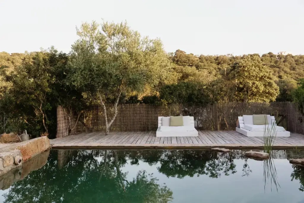 Empty wooden deck with white lounge beds beside a tranquil pool reflecting olive trees in a peaceful off-season setting