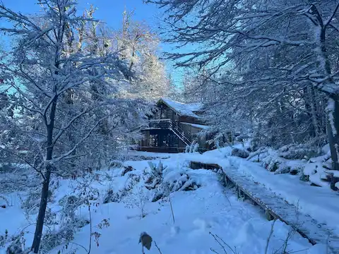 Snow-covered forest cabin off-season travel scene with wooden walkway, bare trees and a tranquil winter morning vibe.