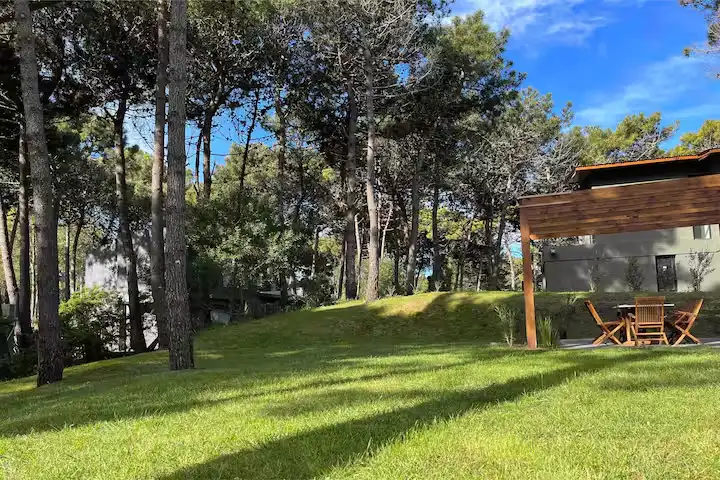 Empty wooden chairs on a cabin terrace overlooking a grassy glade and pine trees, serene off-season forest retreat.