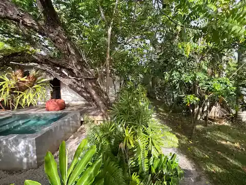 Secluded tropical villa pool surrounded by dense greenery, quiet loungers and shaded paths in an off-season travel retreat