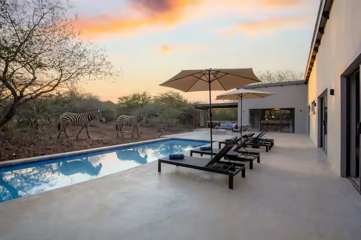Off-season luxury safari lodge pool deck at sunset with zebras strolling past a modern villa, peaceful wilderness retreat
