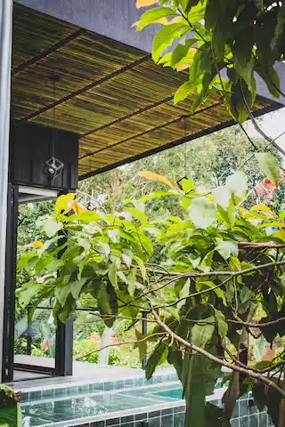 Rain-soaked tropical resort patio framed by lush greenery and bamboo canopy, off-season tranquility poolside retreat.
