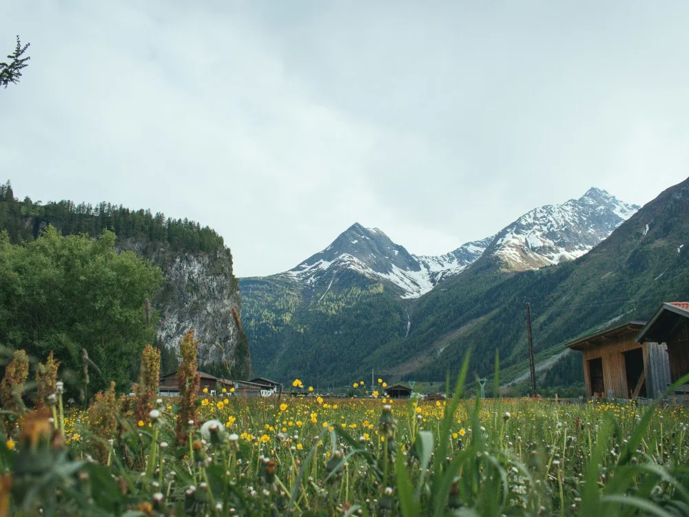 A mountain landscape with green fields and a rustic house under a cloudy sky.