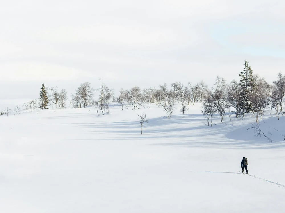 A lone figure walking across a vast, snow-covered landscape with sparse trees.