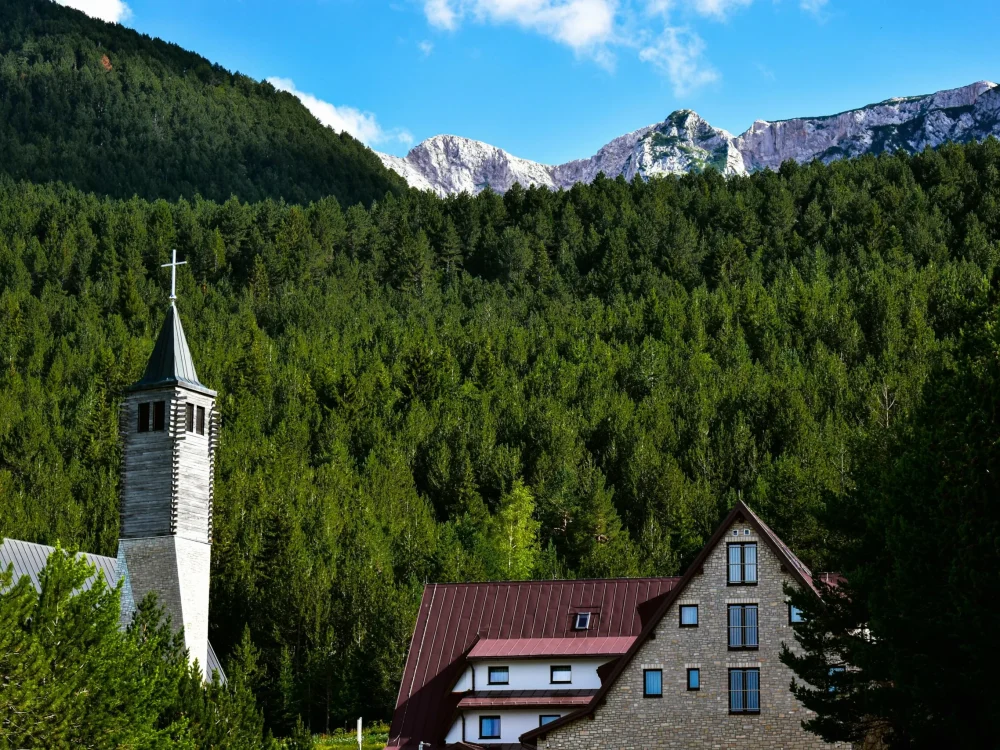 A picturesque church and houses nestled within a dense forest, with mountains in the background.